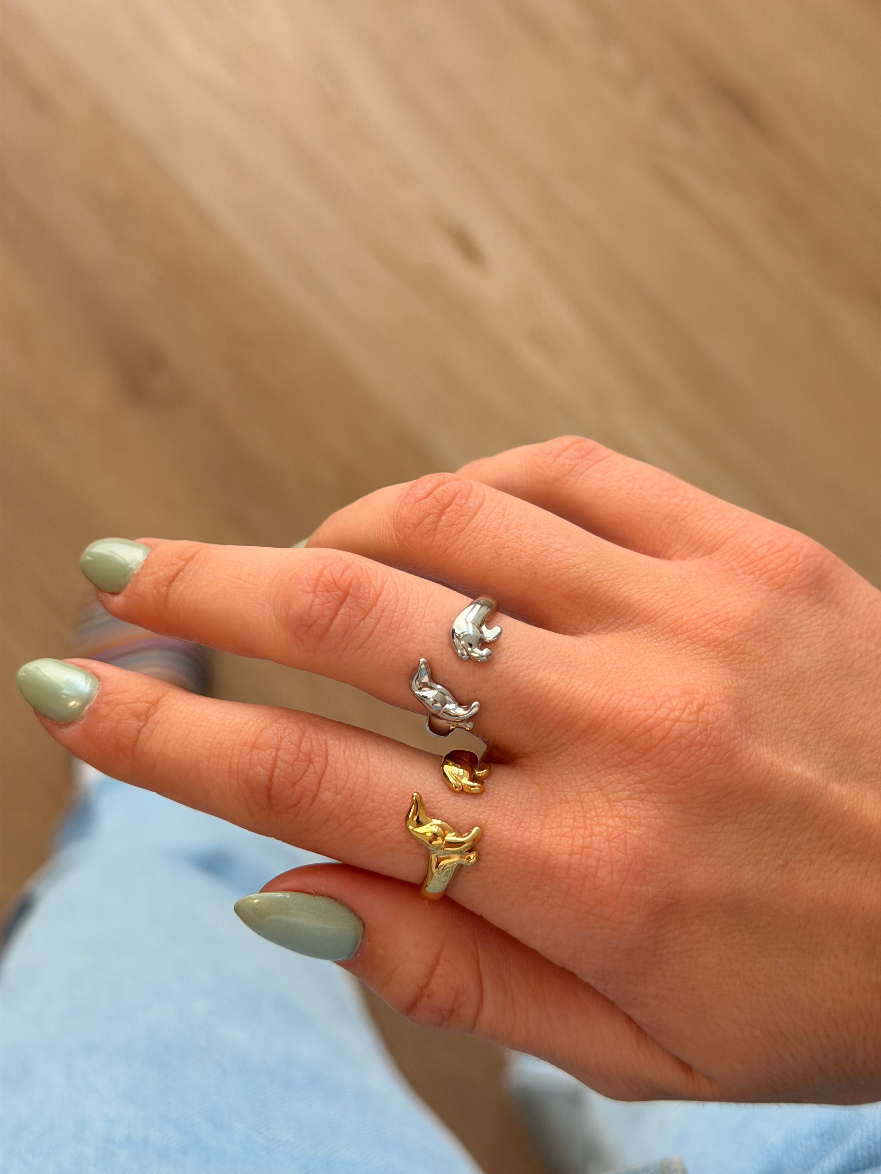 Anillo Teckel