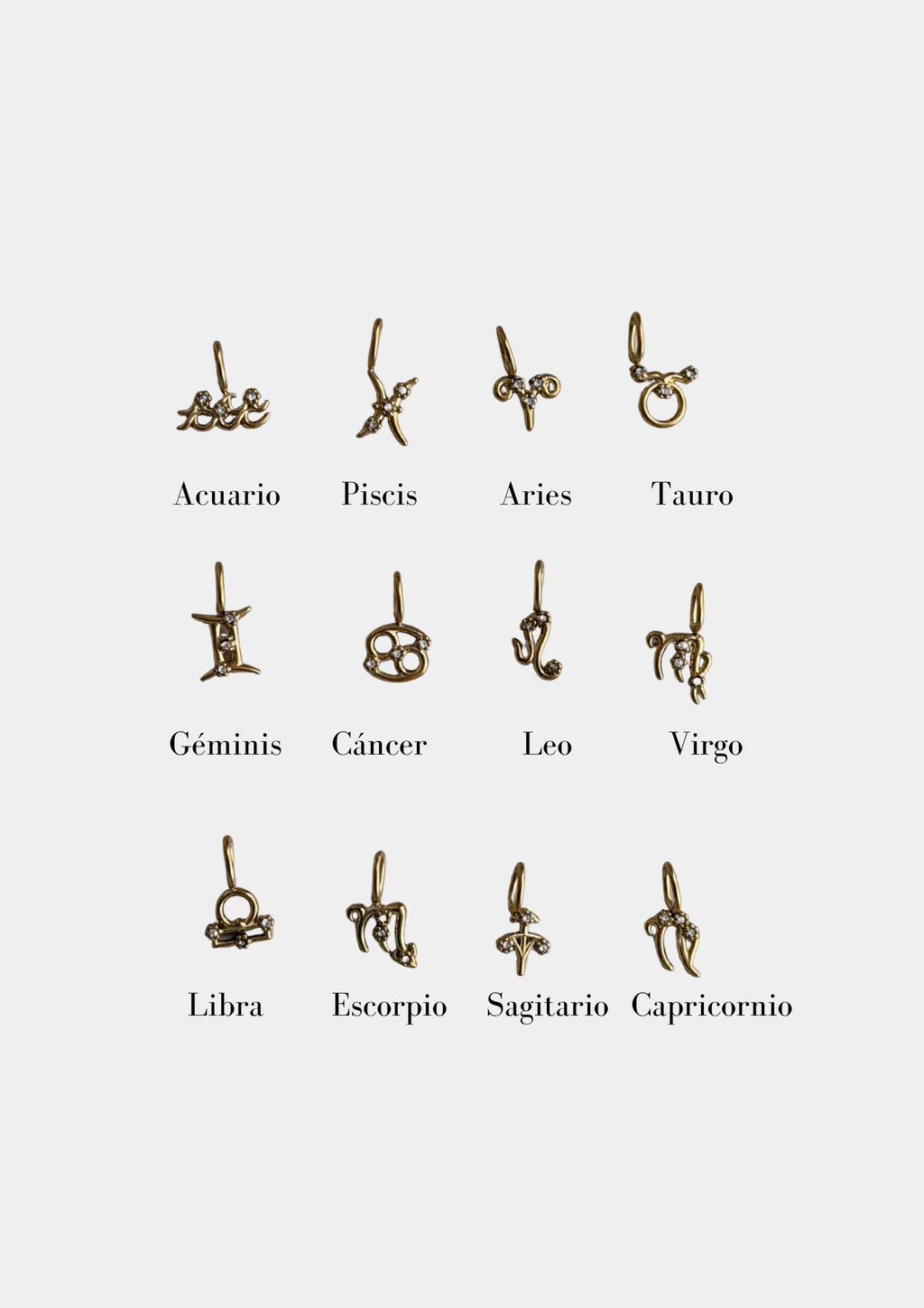 Charms Signo Zodiaco Circonita