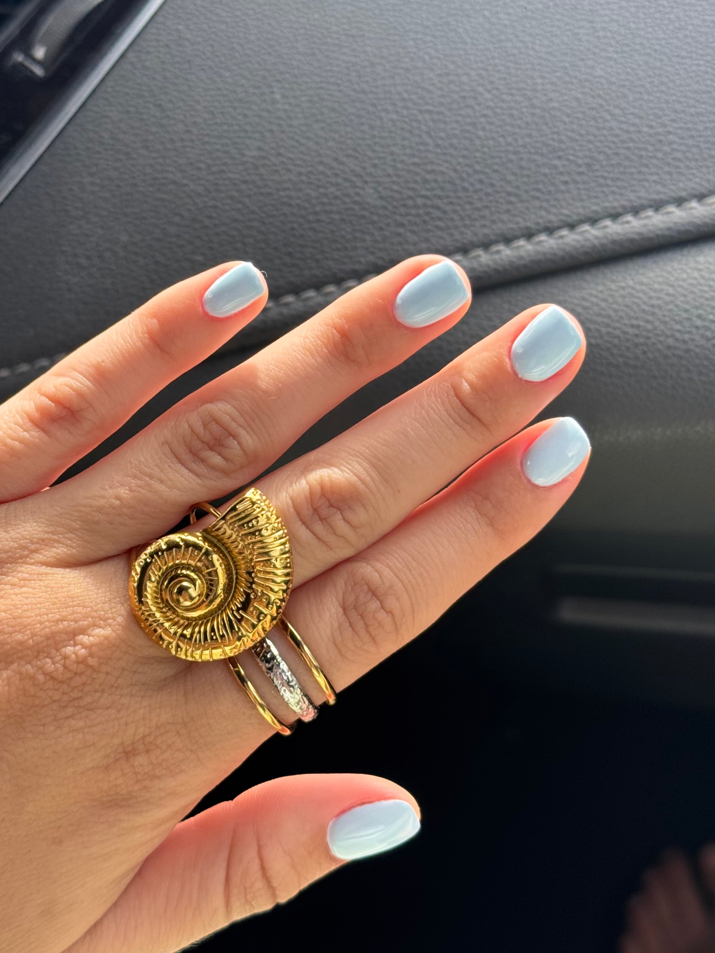 Anillo Nut
