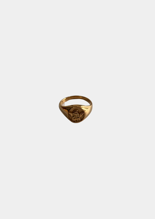 Anillo Angel