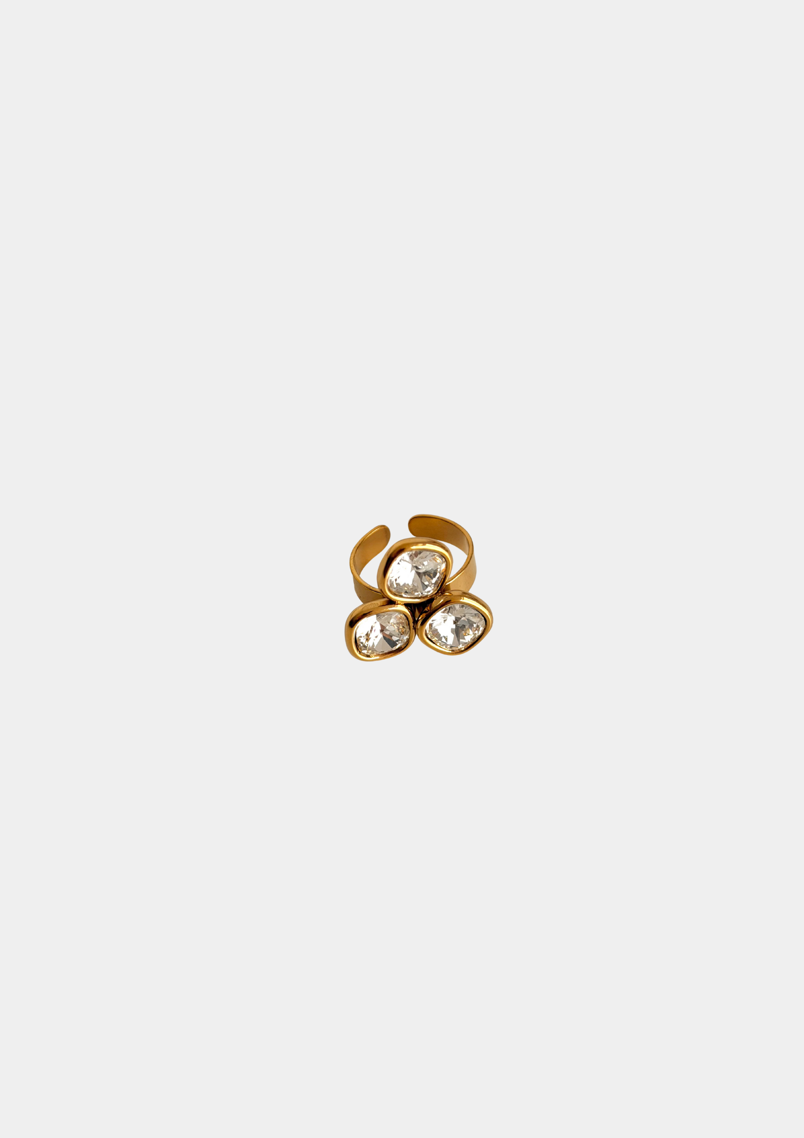 Anillo Montparnasse