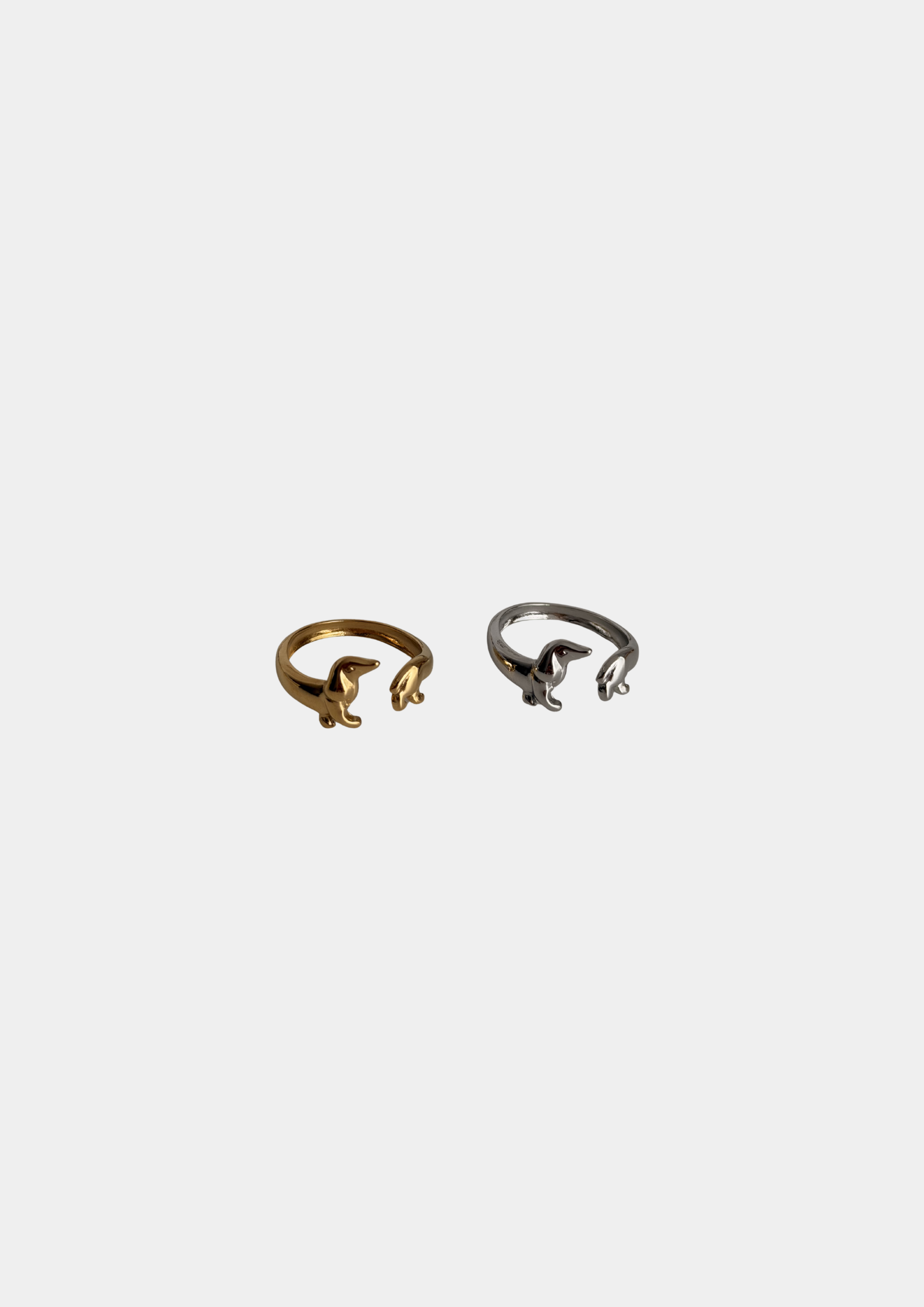 Anillo Teckel