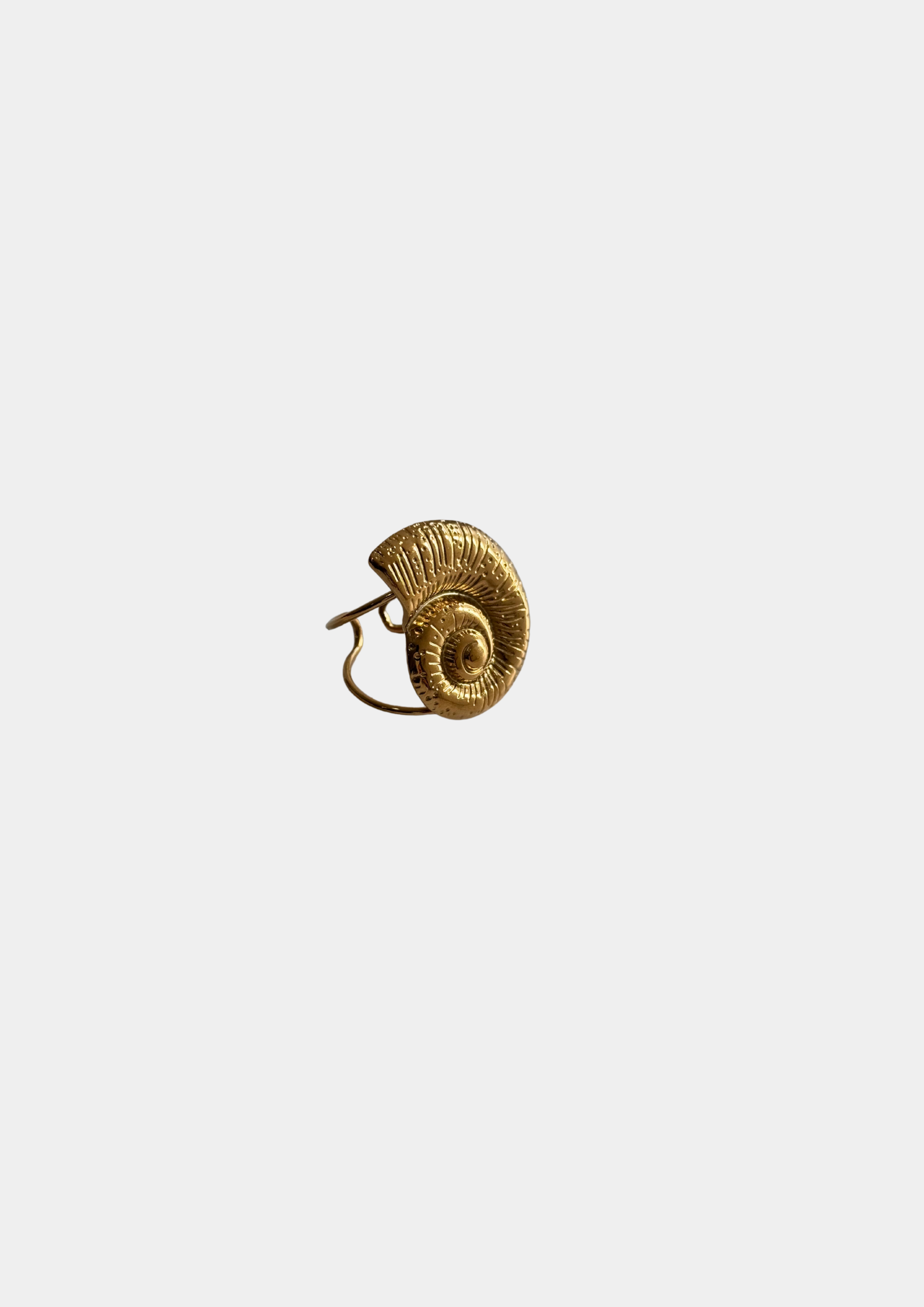 Anillo Caracola