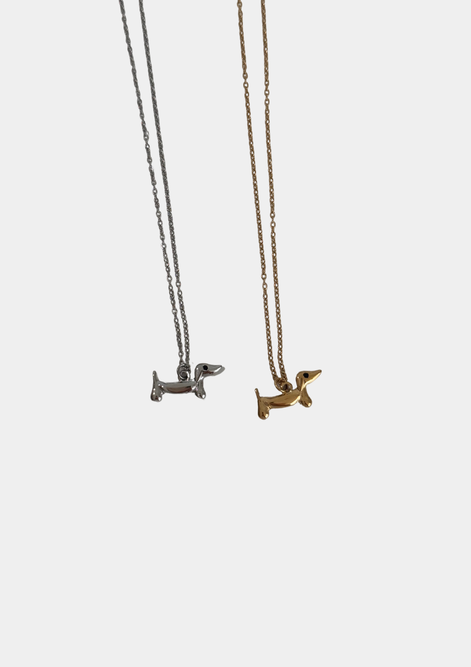 Collar Teckel