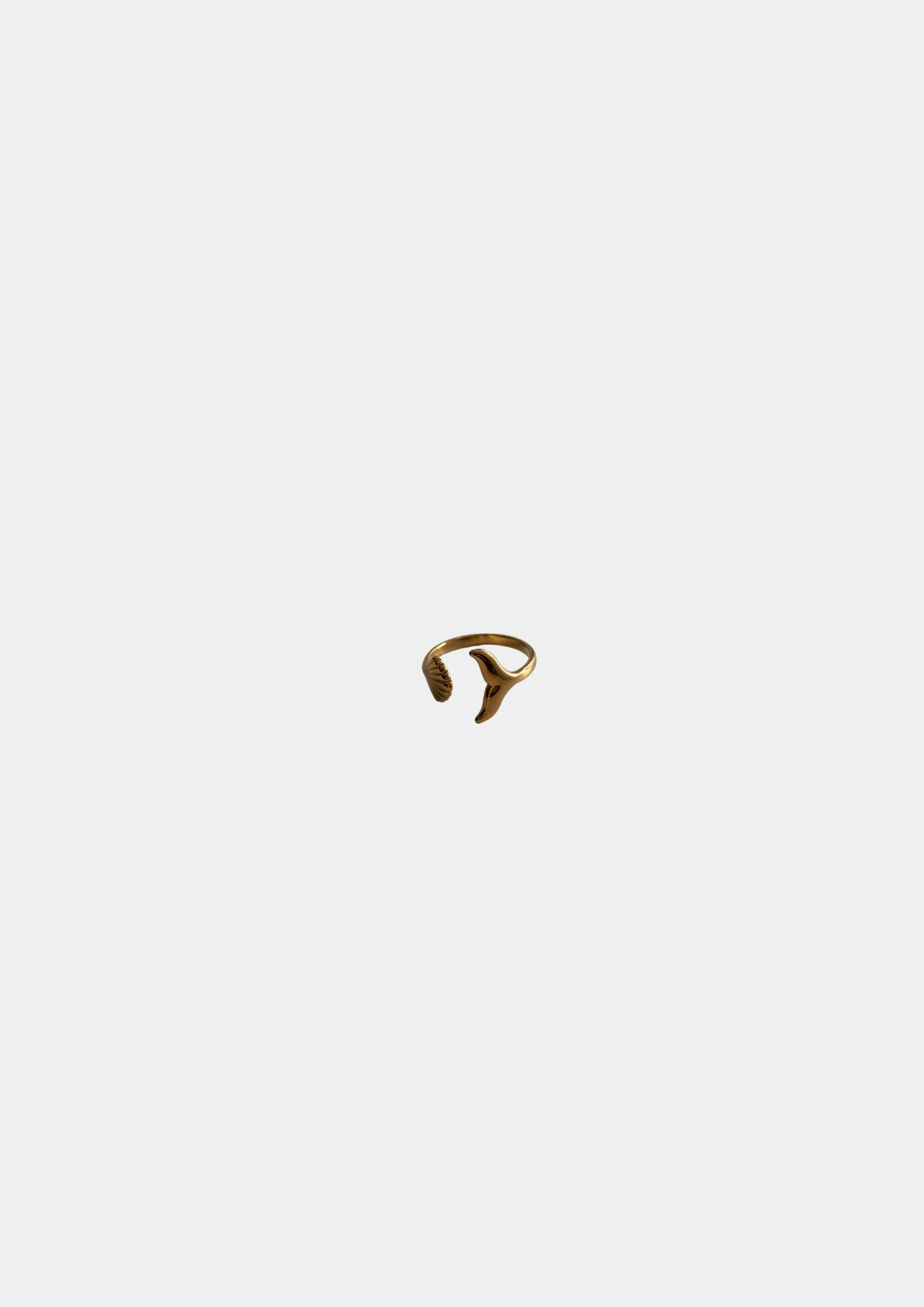 Anillo Aleta