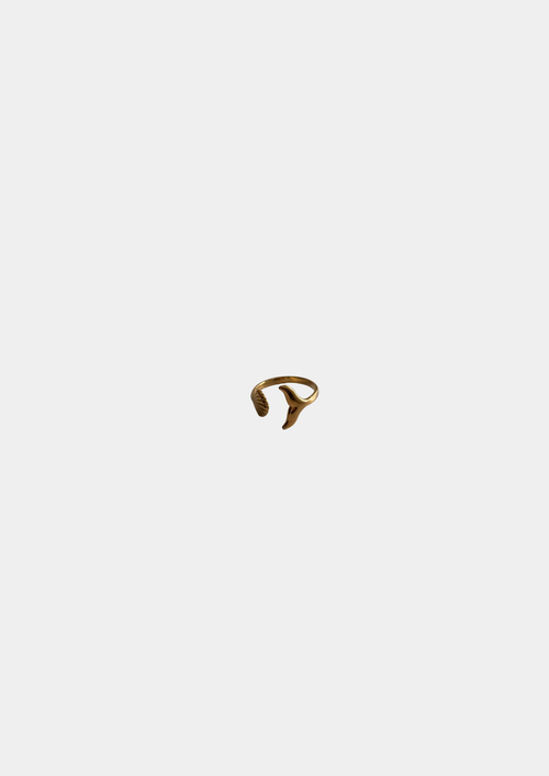 Anillo Aleta