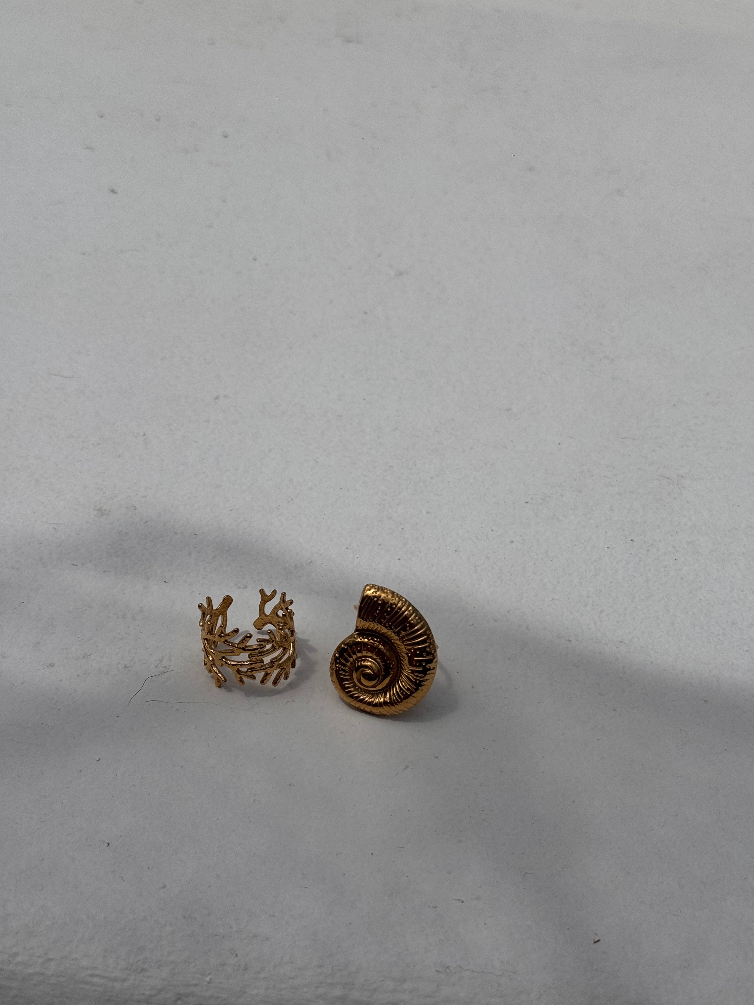 Anillo Caracola