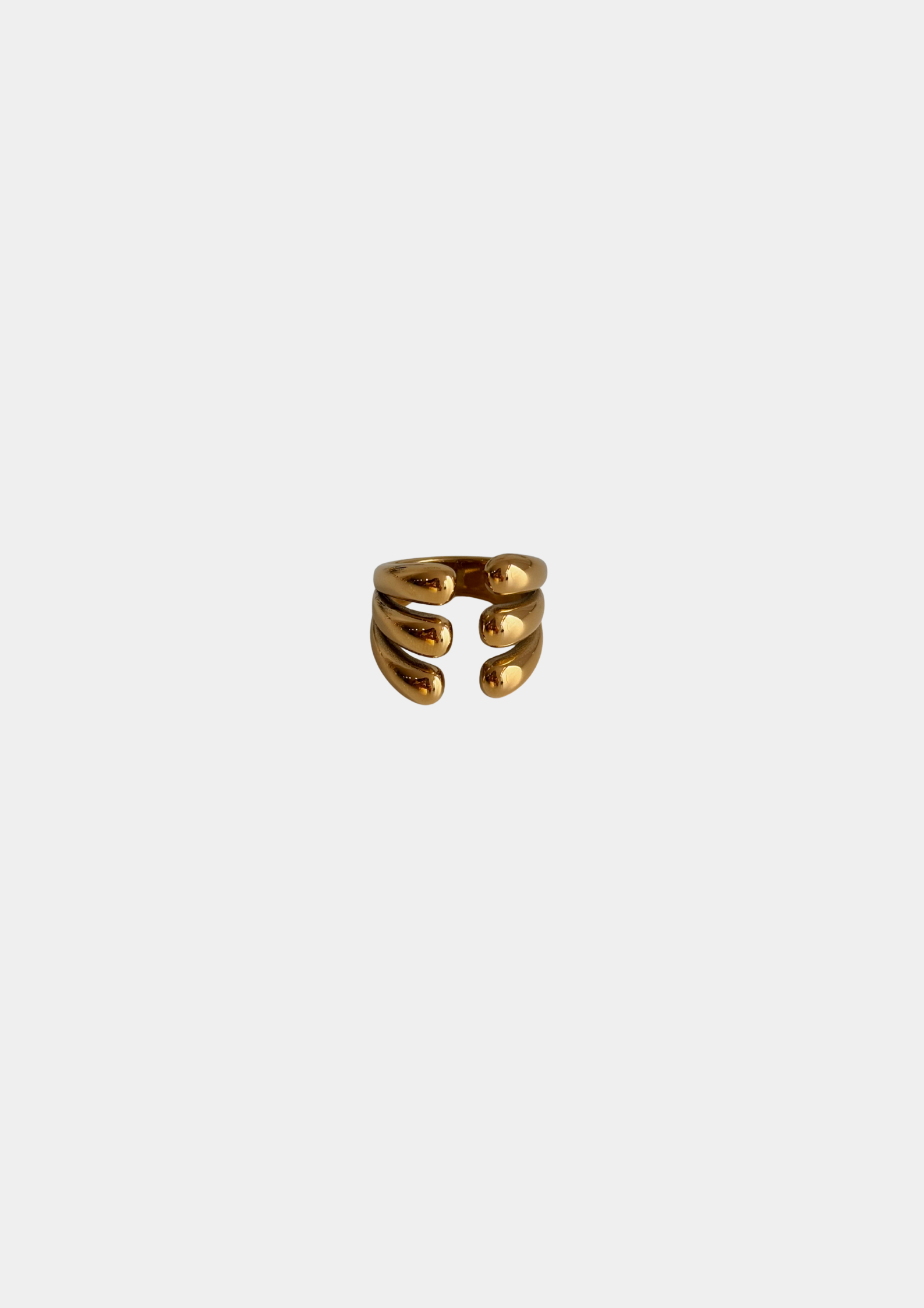 Anillo Le Marais