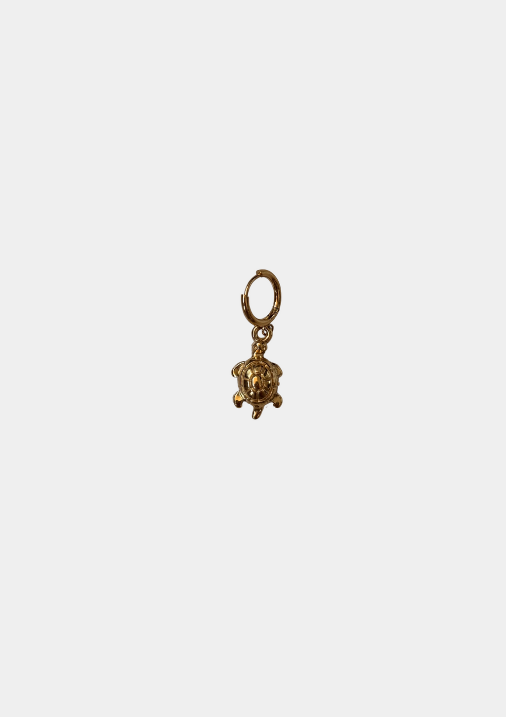 Charm Tortuga