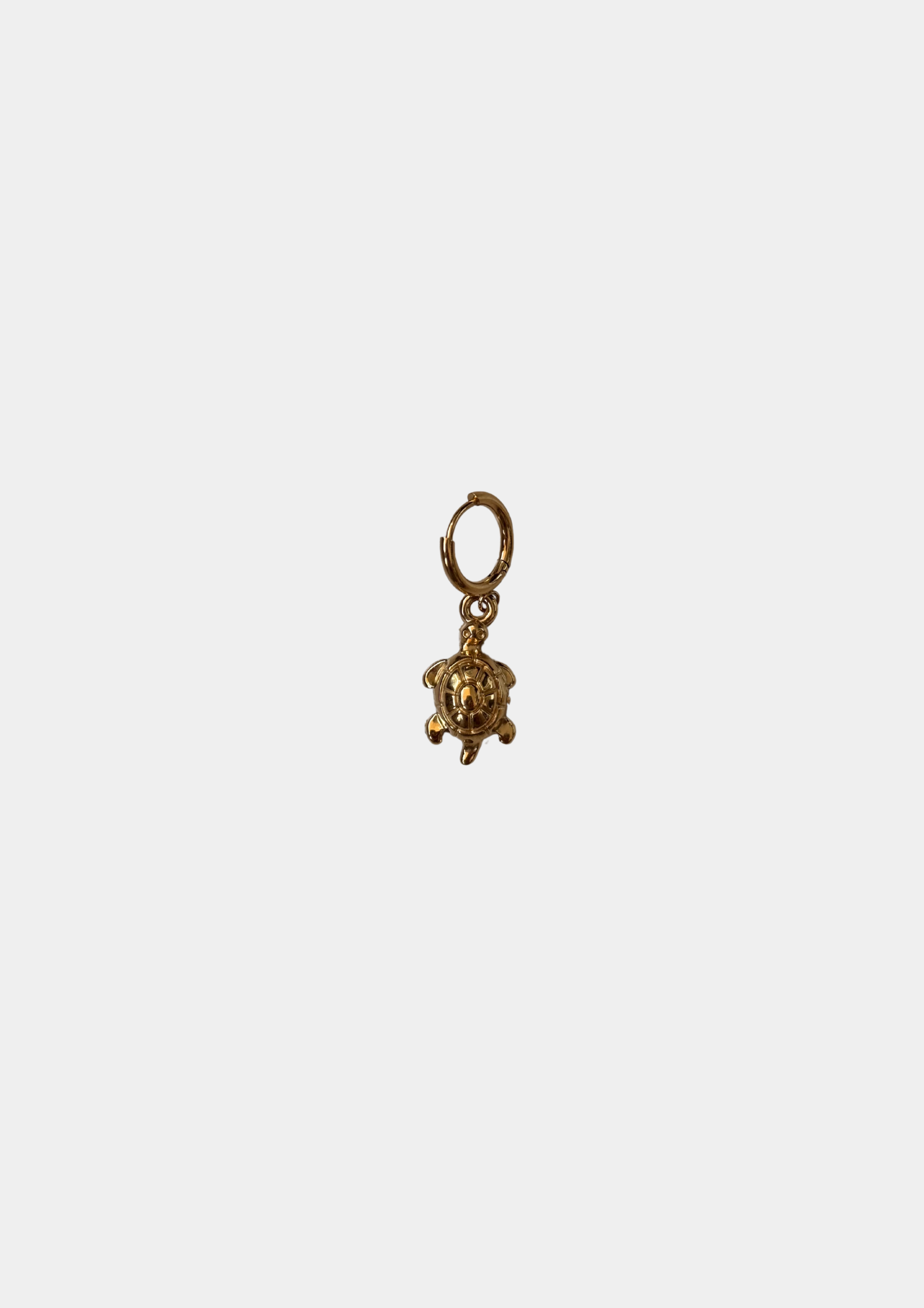 Charm Tortuga