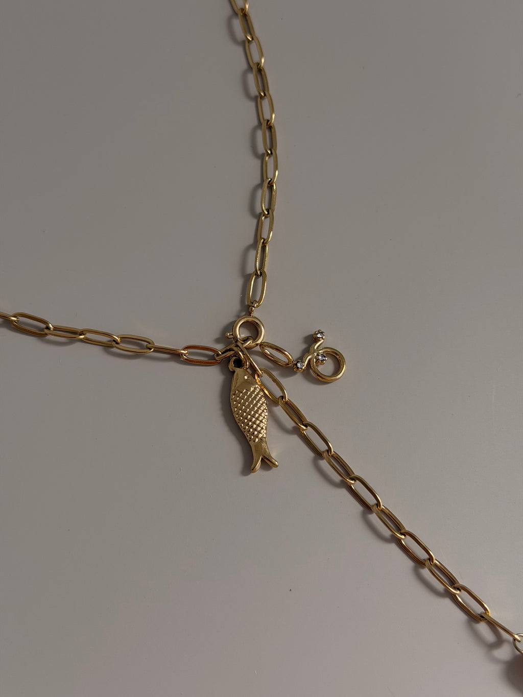 Charms Signo Zodiaco Circonita