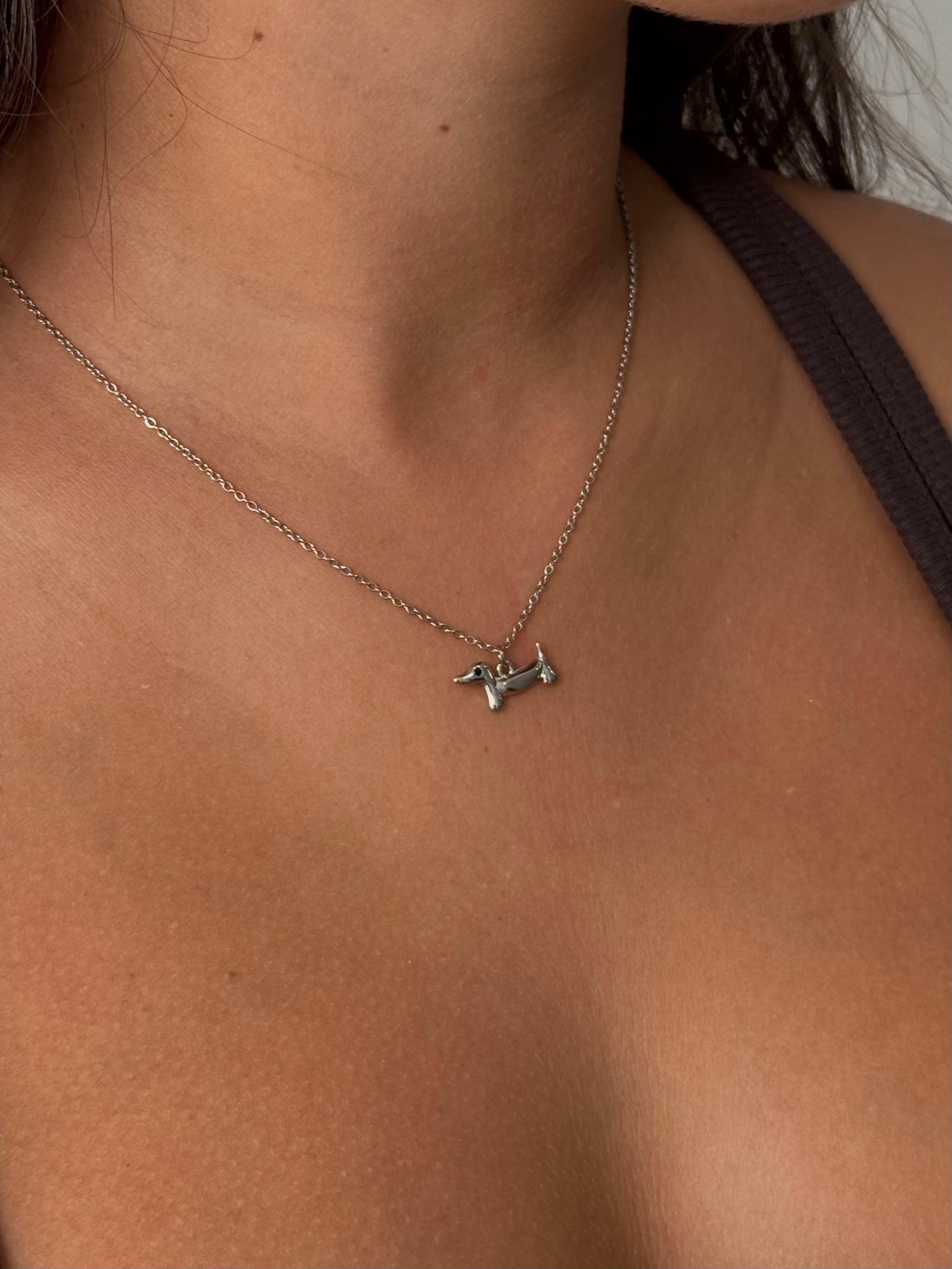Collar Teckel