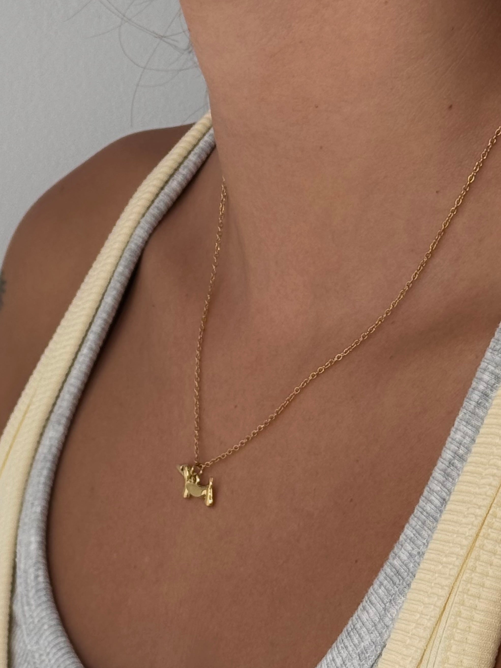 Collar Teckel