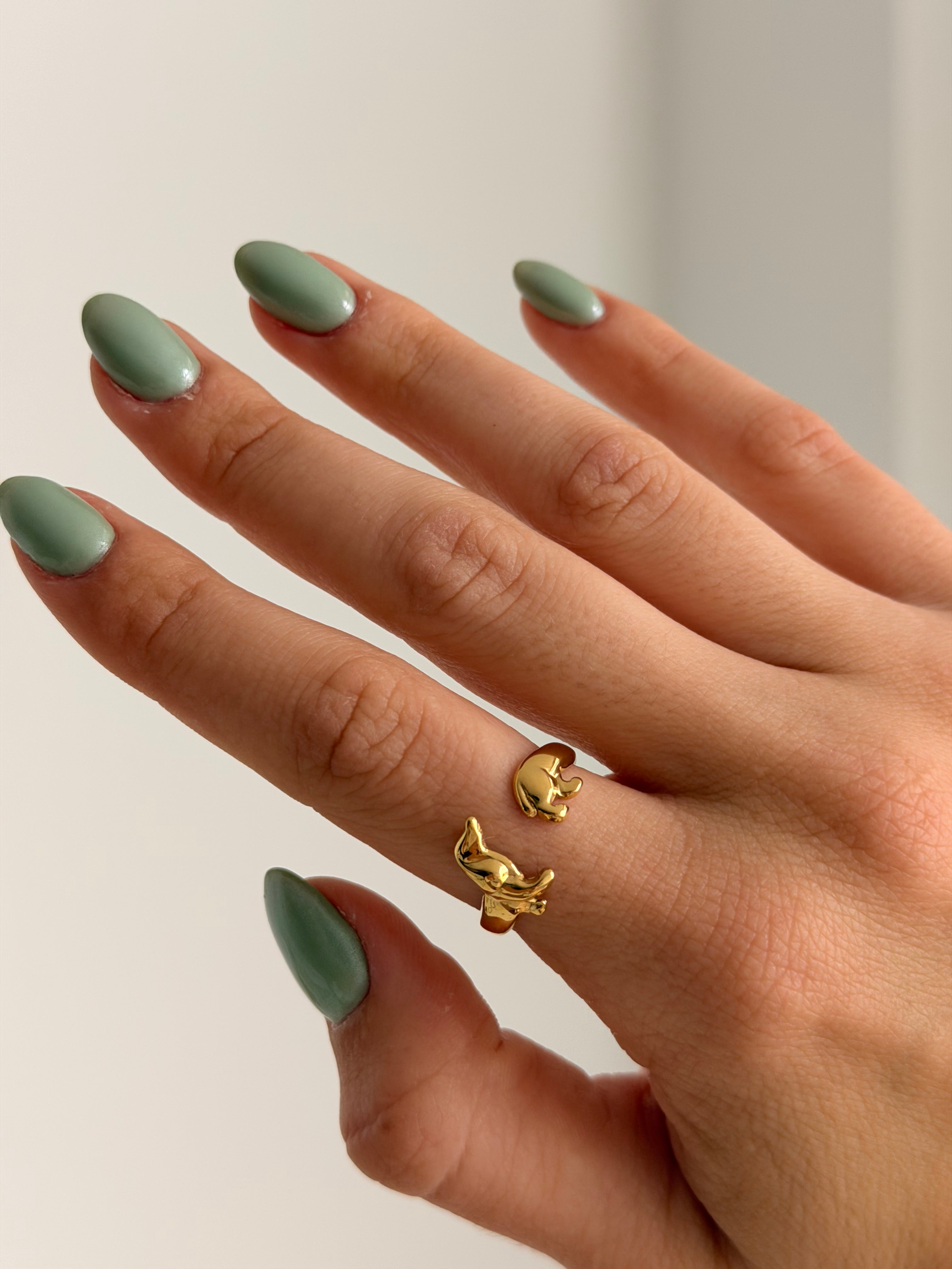 Anillo Teckel